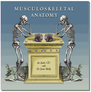 Musculoskeletal Anatomy CD