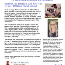 Touch Therapy for the Critically, Chronically, and Terminally Ill - Roseville CA
