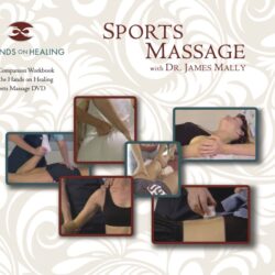 Sports Massage Workbook - Digital Edition